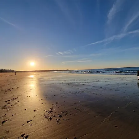 Rocha Candimar Salvia