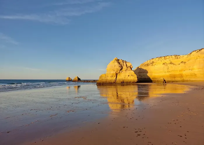 Rocha Candimar Salvia 포티마오