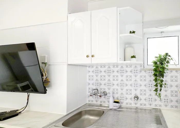 Rocha Candimar Salvia * 포티마오