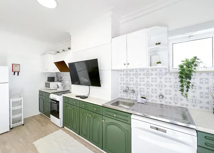 Rocha Candimar Salvia 포티마오