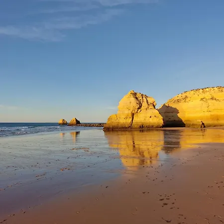 Rocha Candimar Salvia Portimão